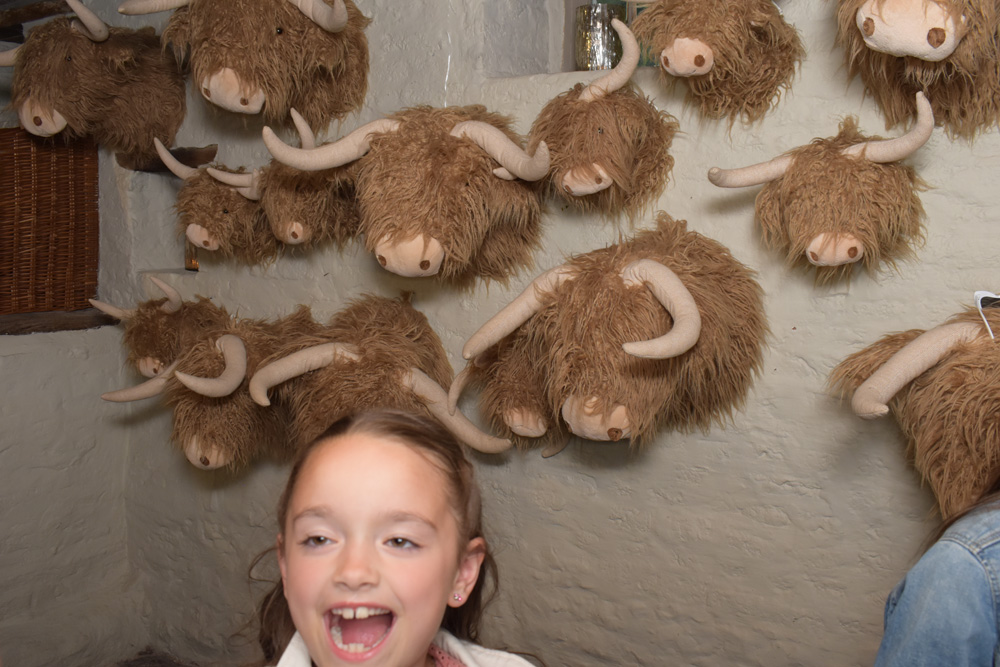 PartyBooth BY ELIAS WALPOT PHOTOGRAPHIE